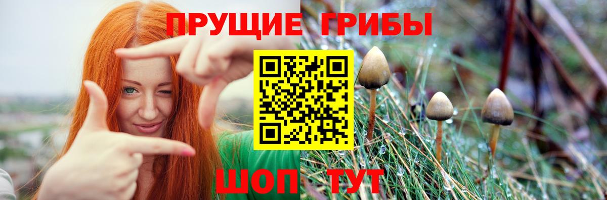 Псилоцибиновые грибы Cubensis  купить наркоту  Галлюциногенные грибы MAGIC MUSHROOMS  Буйнакск  Вход с VPN 